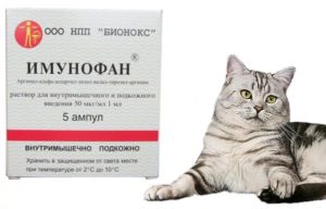 Имунофан для кошек