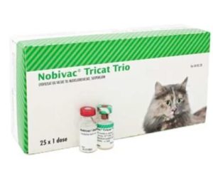 Как применять вакцину Нобивак Трикет для кошек