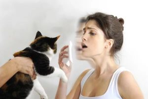Как вылечить аллергию на кошек и можно ли это сделать