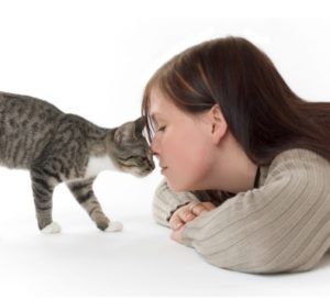 целовать домашних кошек 
