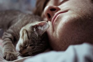 Почему кошки ложатся и спят на человеке