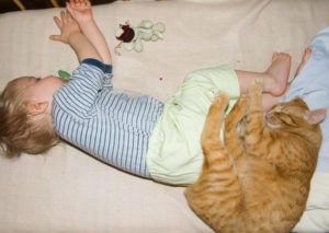 Кошачий сон с детьми