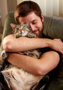 Как правильно обнимать кошек