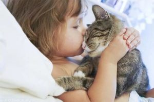 Почему нельзя обнимать котов и кошек