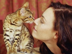 Чем можно заразиться от кошки человеку и как именно